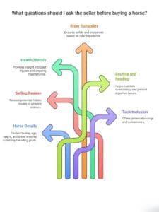 Essential Questions to Ask the Seller Asking the right questions can reveal crucial information about a potential horse purchase. Speaking to the seller before arranging a viewing saves time and money by identifying unsuitable matches early on. What is the horse's age, height, and breed Begin with these fundamental details. Ask if the horse's height has been measured officially or estimated, as some sellers tend to exaggerate measurements. Request verification of age through the horse's passport or dental examination by an equine dentist. Furthermore, understanding breed characteristics helps you determine suitability for your riding goals and experience level, as different breeds have distinct temperaments and aptitudes. Why are they selling the horse This question often uncovers hidden issues. Genuine reasons include the owner's financial constraints, lack of time, or changing interests. Consequently, be cautious if the seller evades this question or provides vague answers. A reputable seller should be forthcoming about their motives, whereas evasiveness may indicate undisclosed problems with the horse's behaviour or health. Has the horse had any health issues or injuries Inquire specifically about past injuries, lameness issues, or conditions like laminitis. In fact, horses that have experienced laminitis are more susceptible to recurrence. Ask about any ongoing maintenance requirements or niggles that might flare up. Requesting access to veterinary records provides valuable insight into the horse's medical history. Is the horse suitable for a novice or experienced rider Specifically ask what level of rider experience the horse requires. This assessment is essential for your safety and enjoyment. An honest seller will openly discuss whether their horse needs a confident, advanced rider or is appropriate for someone less experienced. Their answer should align with your actual riding ability, not just what you aspire to. What is the horse's current routine and feeding schedule Understanding the horse's existing routine helps ensure a smoother transition. Inquire about stabling arrangements, turnout schedule, and dietary requirements including hay type, feed, and supplements. Notably, maintaining consistency in routine and feeding helps prevent digestive issues like colic when the horse changes homes. Is tack or equipment included in the sale Finally, determine